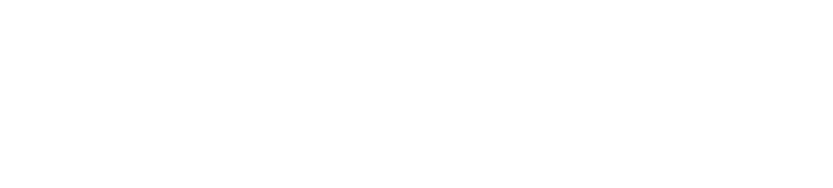 PowerPlus