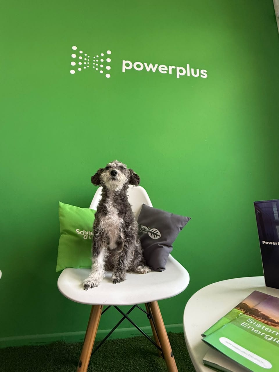 Laina sentada en una silla de la oficina de PowerPlus, frente a la pared verde con el logo